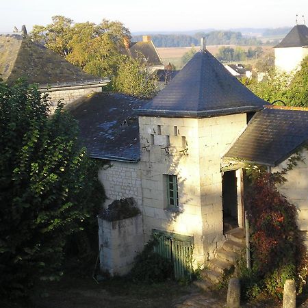 Manoir De Boisairault Bed & Breakfast Le Coudray-Macouard Bagian luar foto
