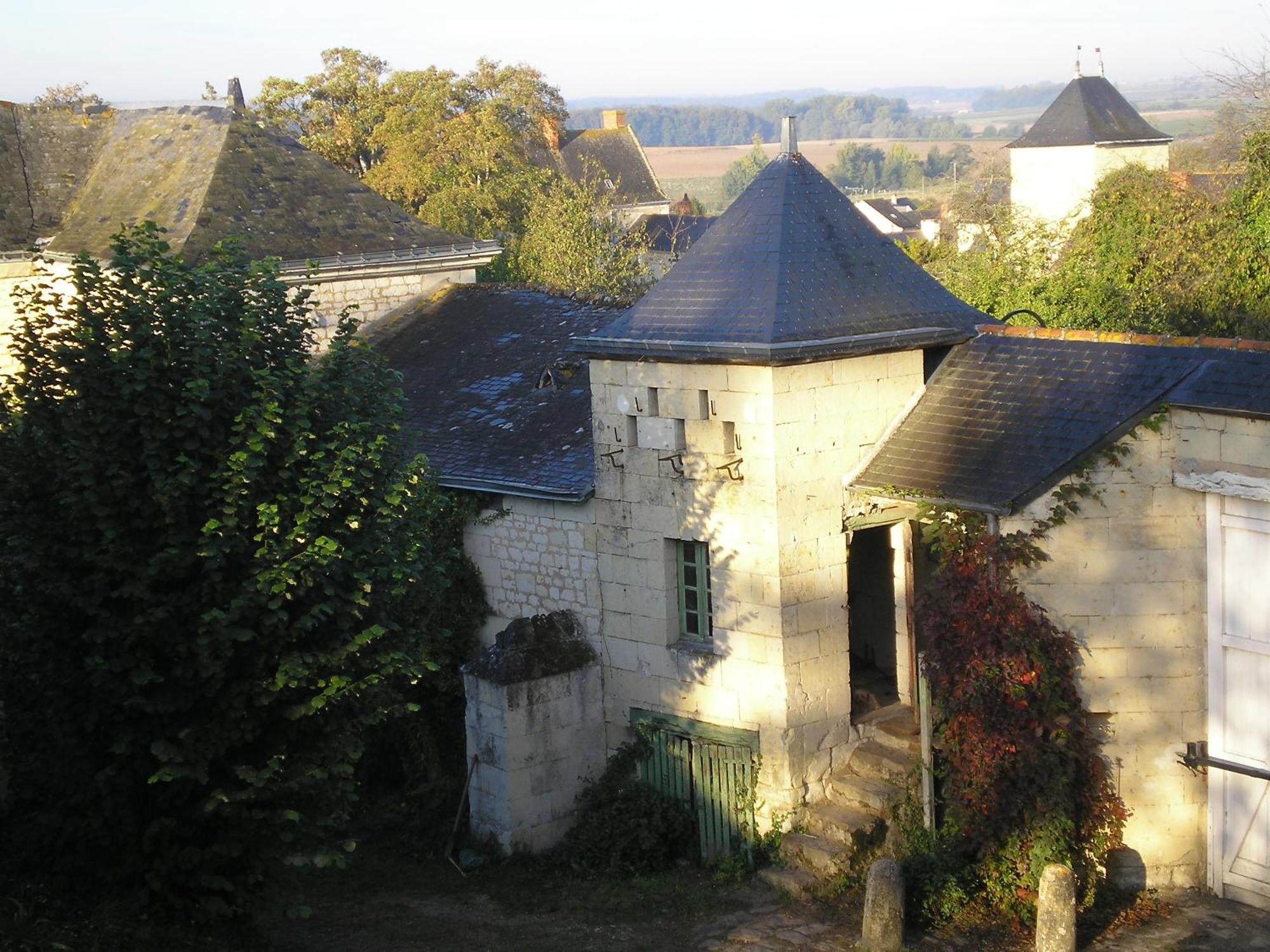 Manoir De Boisairault Bed & Breakfast Le Coudray-Macouard Bagian luar foto