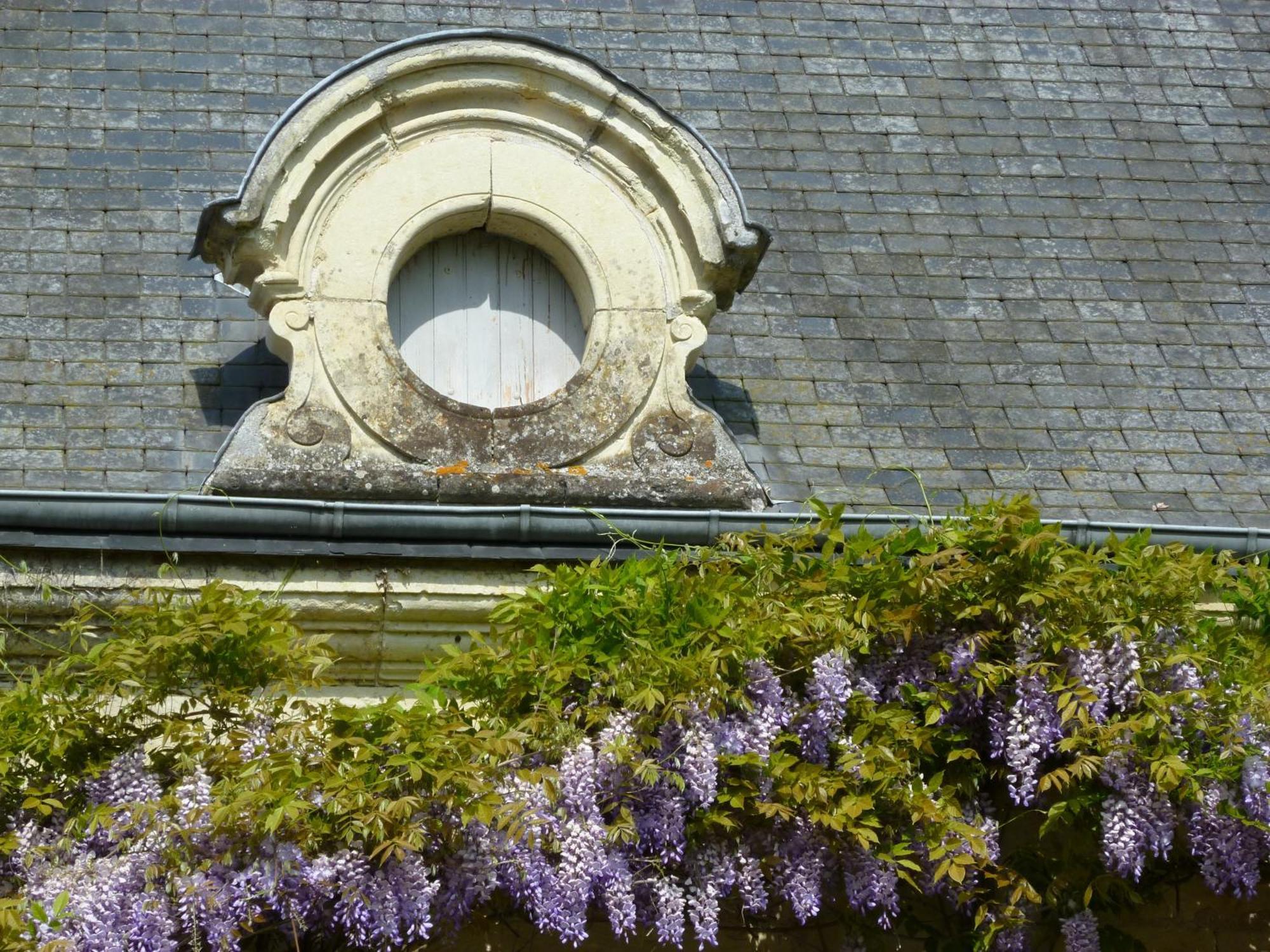 Manoir De Boisairault Bed & Breakfast Le Coudray-Macouard Bagian luar foto
