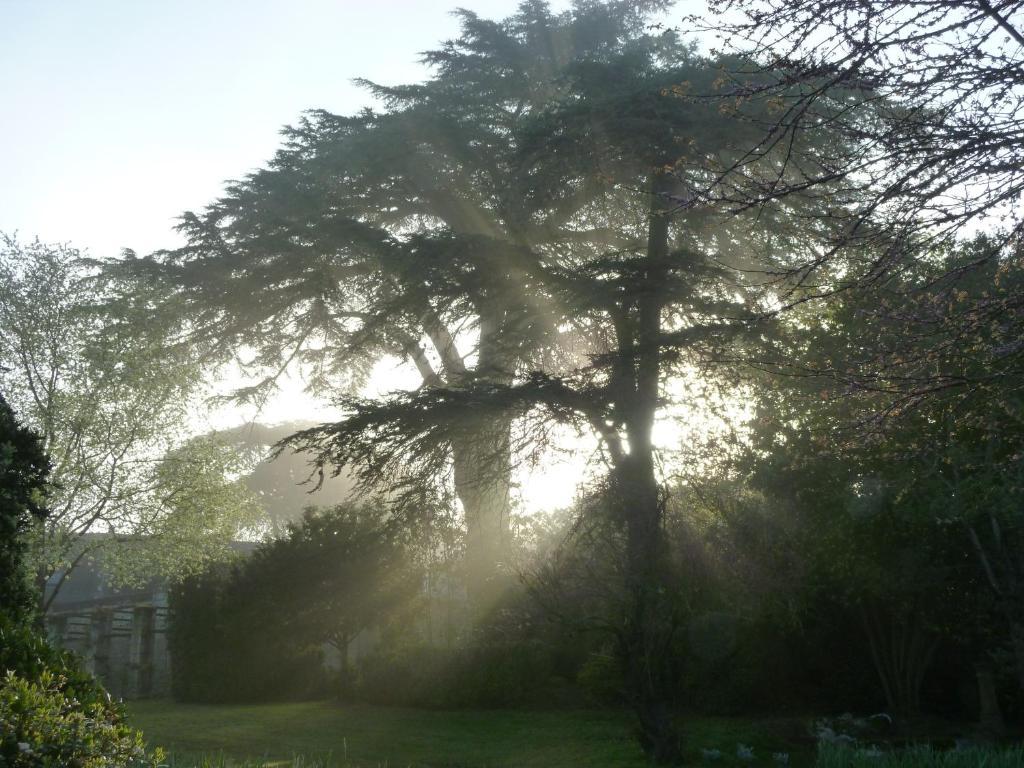 Manoir De Boisairault Bed & Breakfast Le Coudray-Macouard Bagian luar foto
