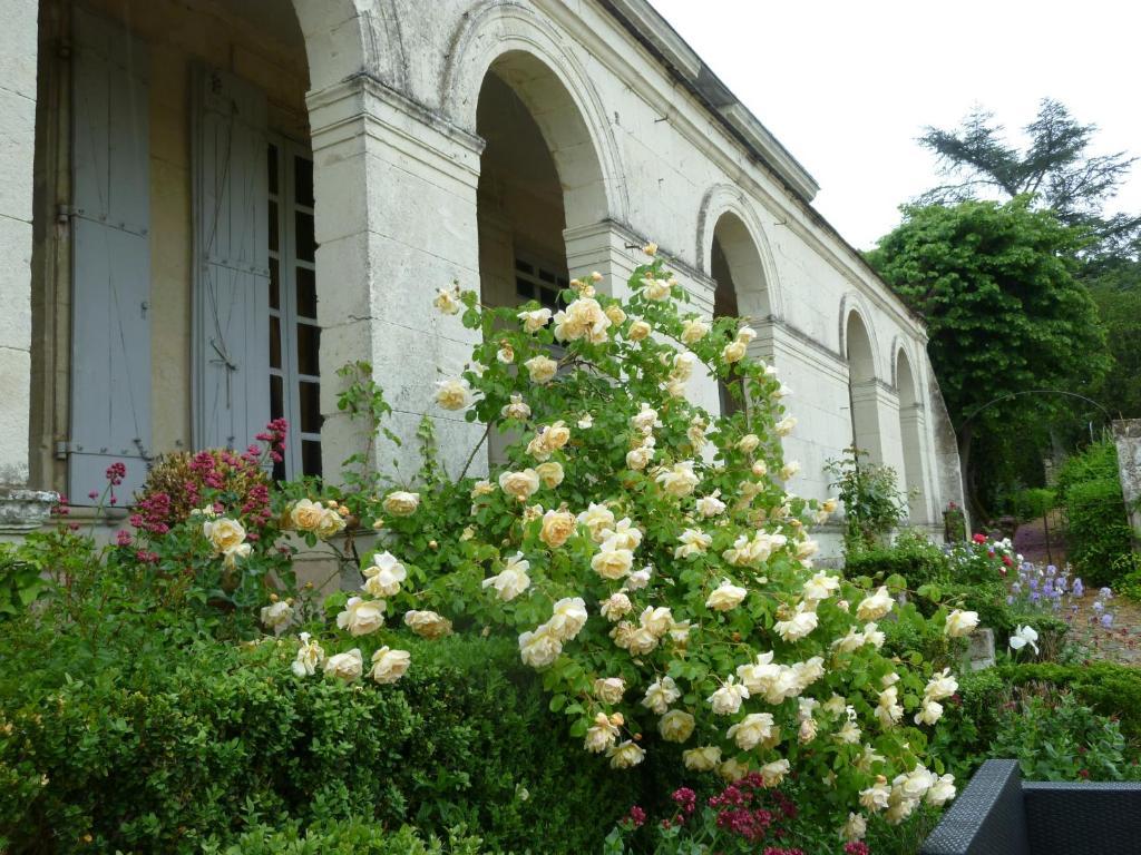 Manoir De Boisairault Bed & Breakfast Le Coudray-Macouard Bagian luar foto