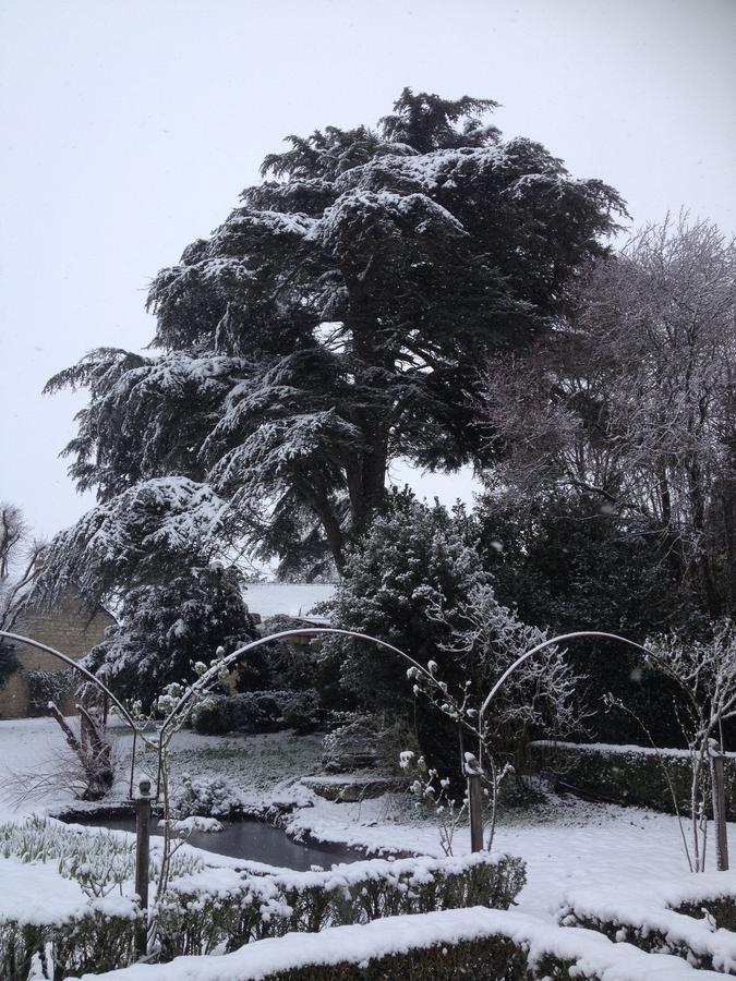 Manoir De Boisairault Bed & Breakfast Le Coudray-Macouard Bagian luar foto